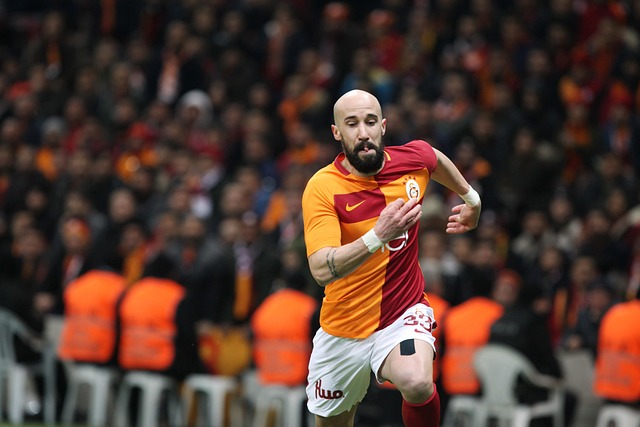 去追求属于 去追求属于