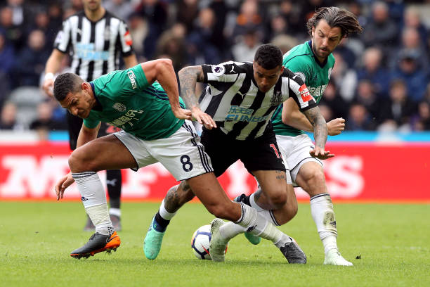 让球迷对其 让球迷对其