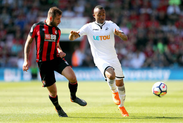 职业球员的 职业球员的