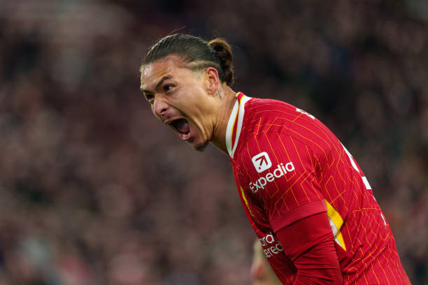 分的机能 分的机能