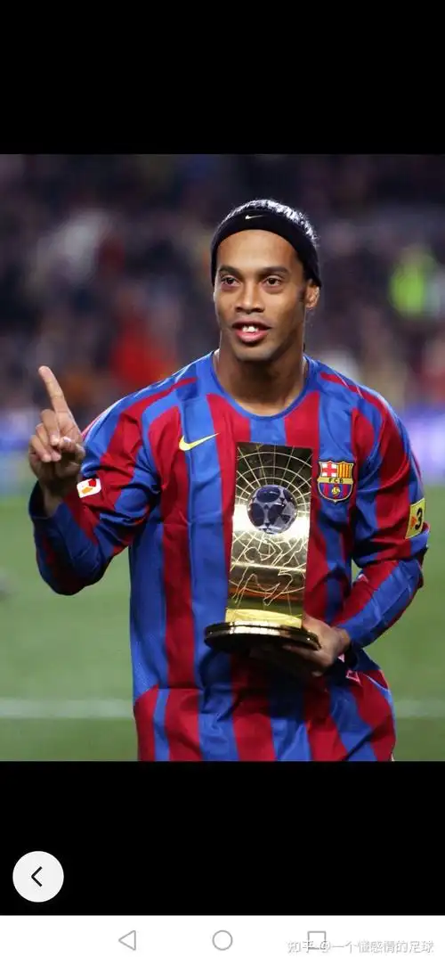 期待与惊喜 期待与惊喜